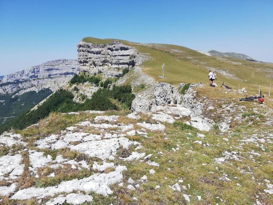 Logement Standing Wifi Vercors 'In Сен-Жан-ан-Руаян Экстерьер фото