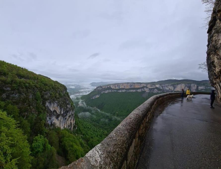 Logement Standing Wifi Vercors 'In Сен-Жан-ан-Руаян Экстерьер фото